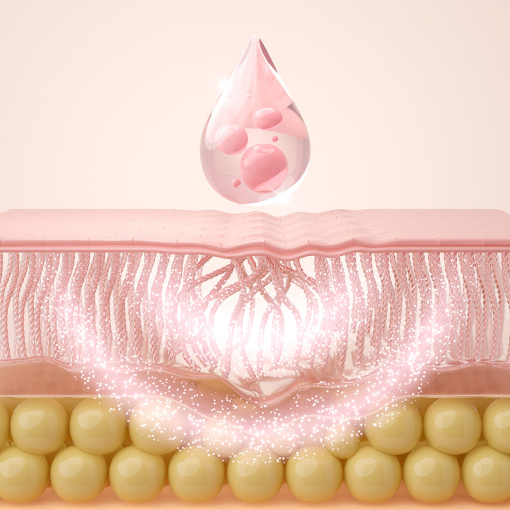 幹細胞が浸透しているイメージ